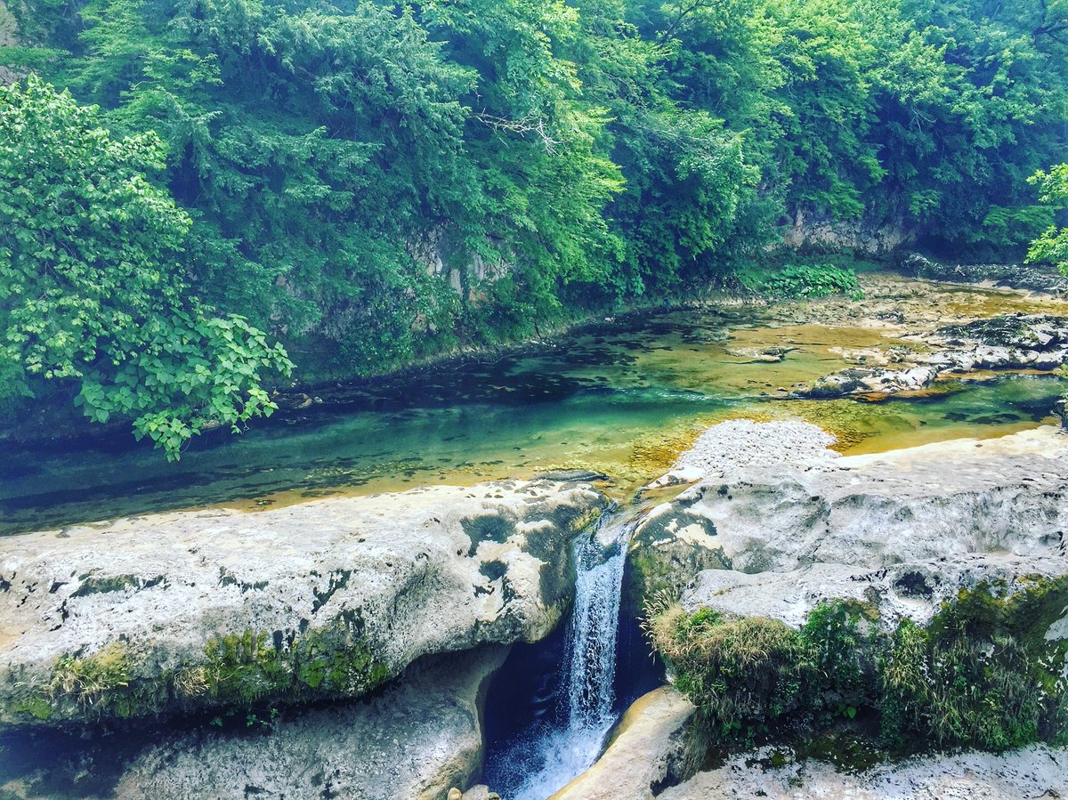 NatAquarius's tweet photo. #nature #AmazingEarth #green #colorsoflife https://t.co/uVSE6BzCqo