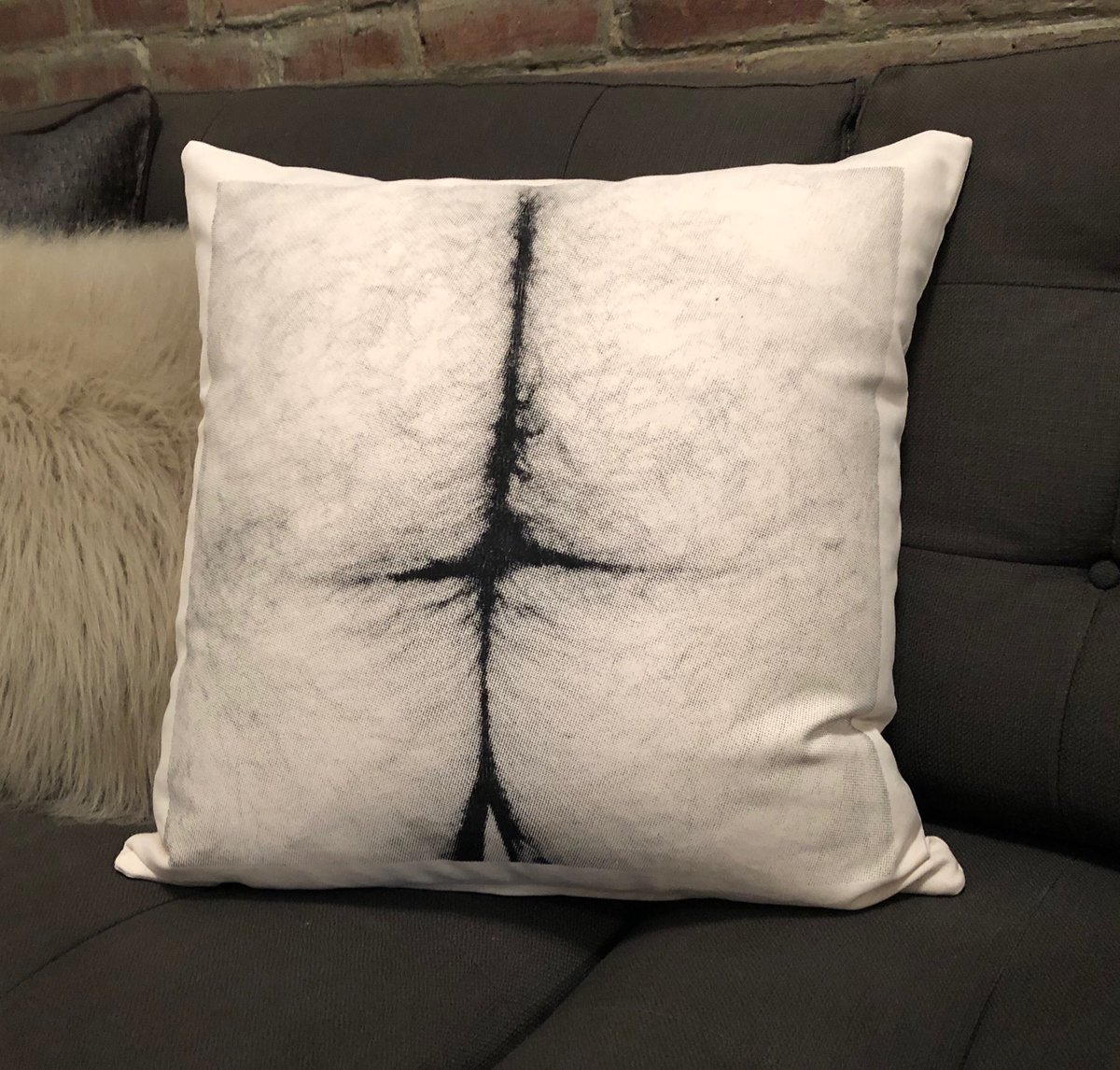 ffunhole43's tweet photo. Found this great pillow from @oincoincstore while at @FolsomEast with @mathieumarsx today.  Looks great in our place!! https://t.co/irpCoCVDVW