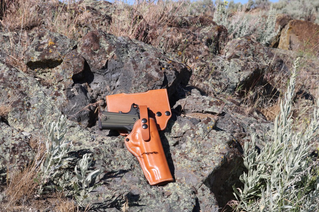 Looking for holster that suits the TRP 10MM RMR? GunsAmerica has a few ideas. gunsamerica.com/blog/holsters-…