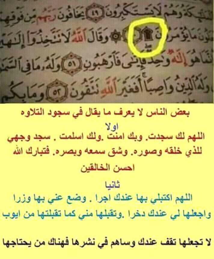 gamaldoos's tweet photo. ماذا تقول في ايه السجده في القران https://t.co/MoD03Wq9nu