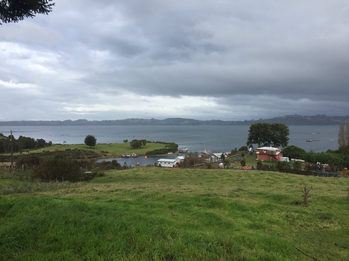 Defendamos_Gamboa tweet media