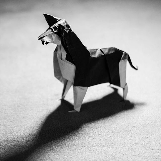 athenaliu6's tweet photo. 🐾Husky origami designed by Fumiaki Kawahata. This work is sponsored (& photographed) by @armanabt as a birthday gift for @engarnevis ! Happy birthday Amin! 🎂🎉 Hope you liked it😄
•••
#husky #origami #huskypuppy #huskyphotography #handmade #handcra… https://t.co/Fh88GTGiA6 https://t.co/WzlBRUftVS