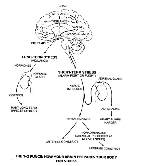 alain_vuong's tweet image. 🌈La méditation de pleine conscience améliore la résilience au stress selon des marqueurs biologiques @NIH @PsychoMedia @psychresearch #mindup #gestiondecrise #climatscolaire 
psychomedia.qc.ca/psychologie/20… …