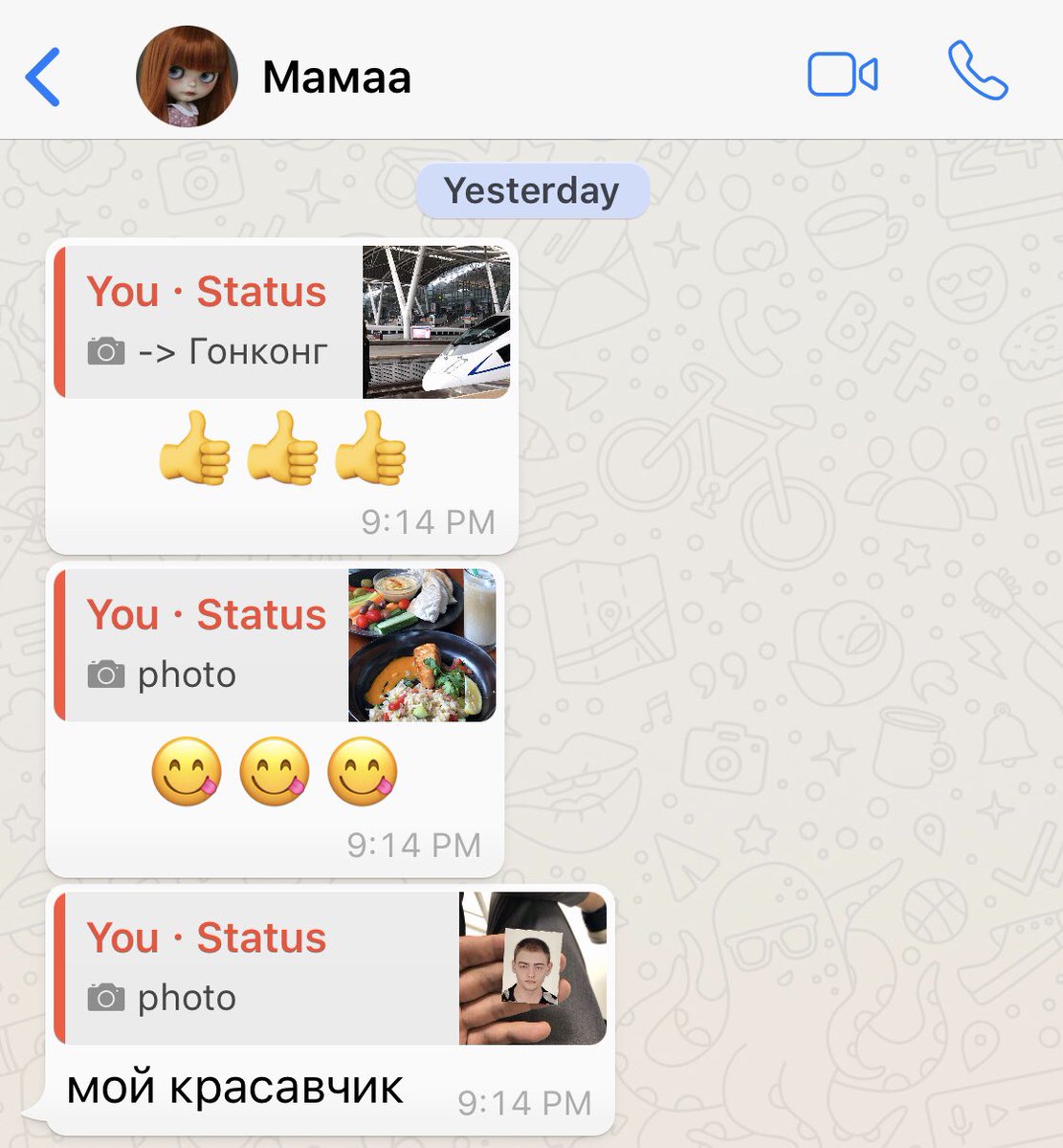 dimkept's tweet image. немного о популярности моих «сториз» в вотсап