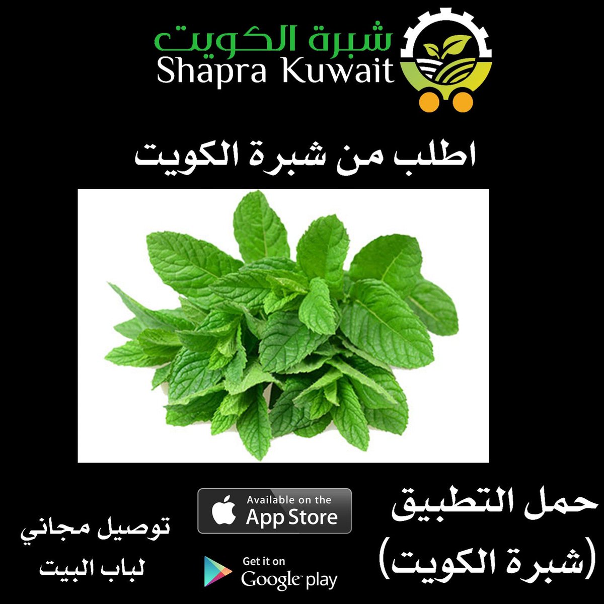 ShapraKuwait's tweet photo. حمل التطبيق

https://t.co/Mx9BBKUNoV

#ال��ب_دايم_يكون #حساب_المريسل_موقوف #البرازيل_سويسرا  
#راتب_سنة_علينا #نبذ_المتباهين_بالبذخ https://t.co/ItdzdMyyZh