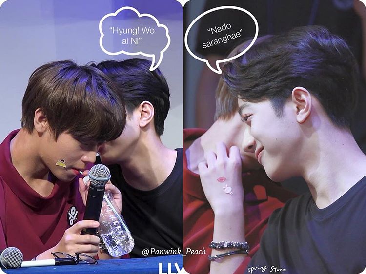 DiitaNovianty's tweet image. #판윙은사실이다