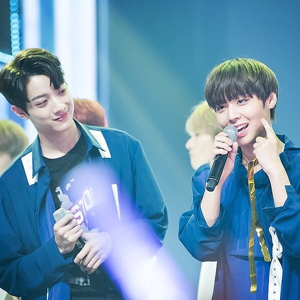 DiitaNovianty's tweet image. #판윙은사실이다