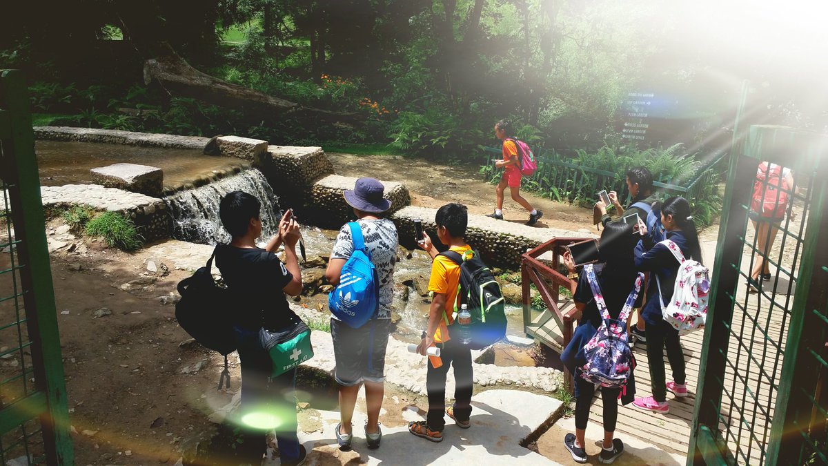 TBSbiology tweet media