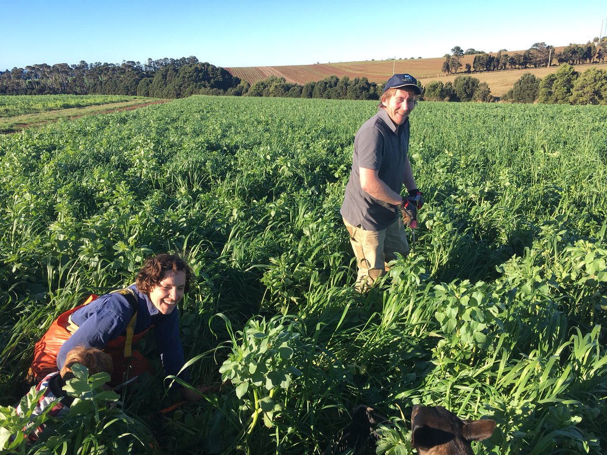 Soil First Tasmania tweet media