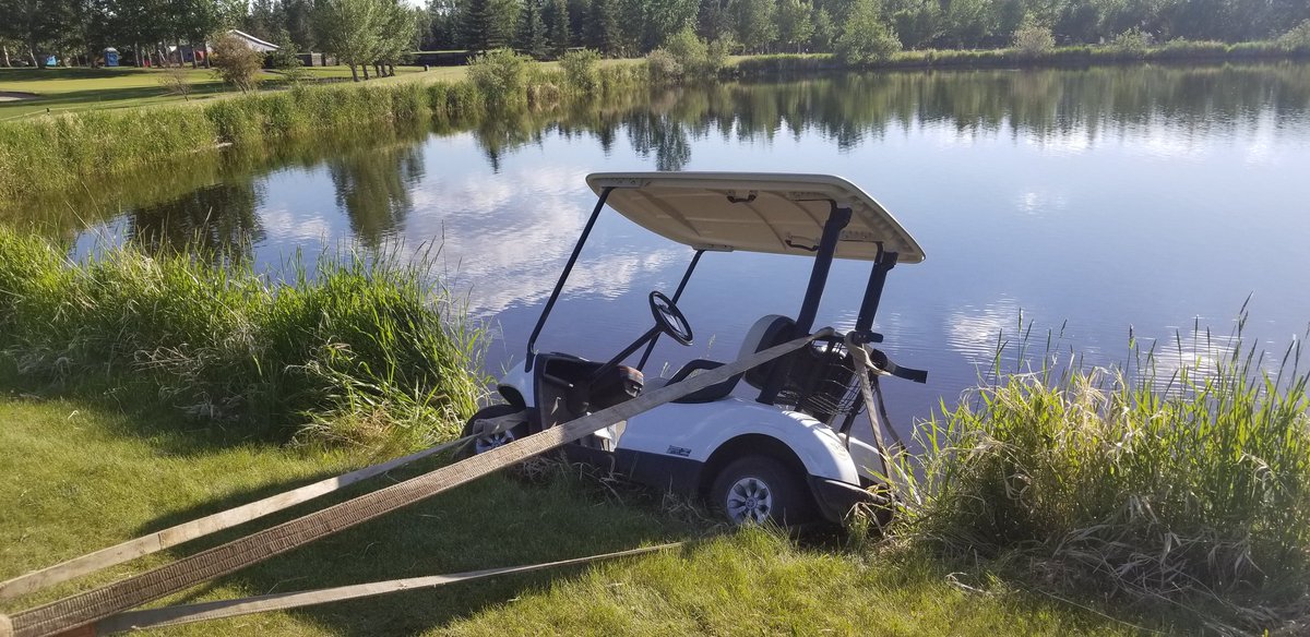 thecreek93's tweet photo. I really am starting to wonder if people need a special licence to drive a golf cart!! https://t.co/nSkgZ9OBhS
