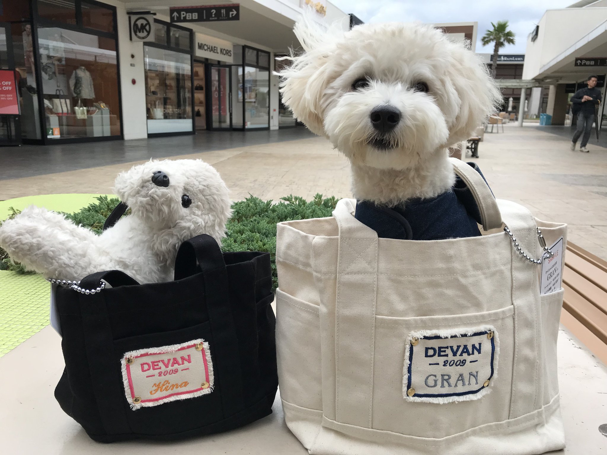 Pet ブランドdevan Auf Twitter 木更津アウトレット店 こんにちは 可愛いワッペンでのお名前が入るタイプのトートバッグ 大 には5 8キロのスタッフ犬とむも入ります 気に入ったようでしばらく出てきませんでした ポケットもたくさん付いていて便利 Pet ブランドdevan Auf Twitter 木更津アウトレット店 こんにちは 可愛いワッペンでのお名前が入るタイプのトートバッグ 大 には5 8キロのスタッフ犬とむも入ります 気に入ったようでしばらく出てきませんでした ポケットもたくさん付いていて便利