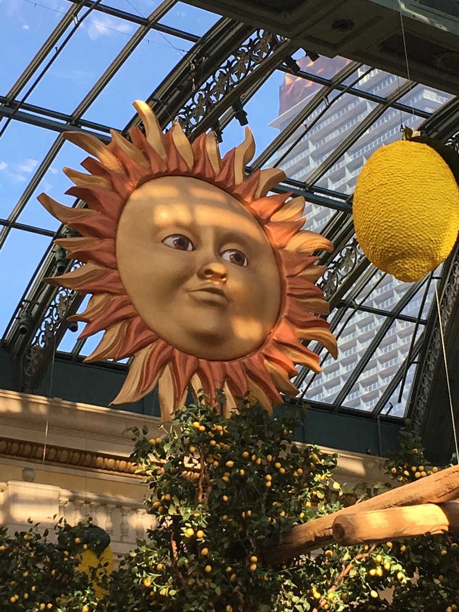 DonnaMarieKirk2's tweet photo. Look what I saw in the Bellagio! When we were getting on the elevator to go up to our room, EWTRW was playing. #TFF https://t.co/ObfBQ3X0Ds
