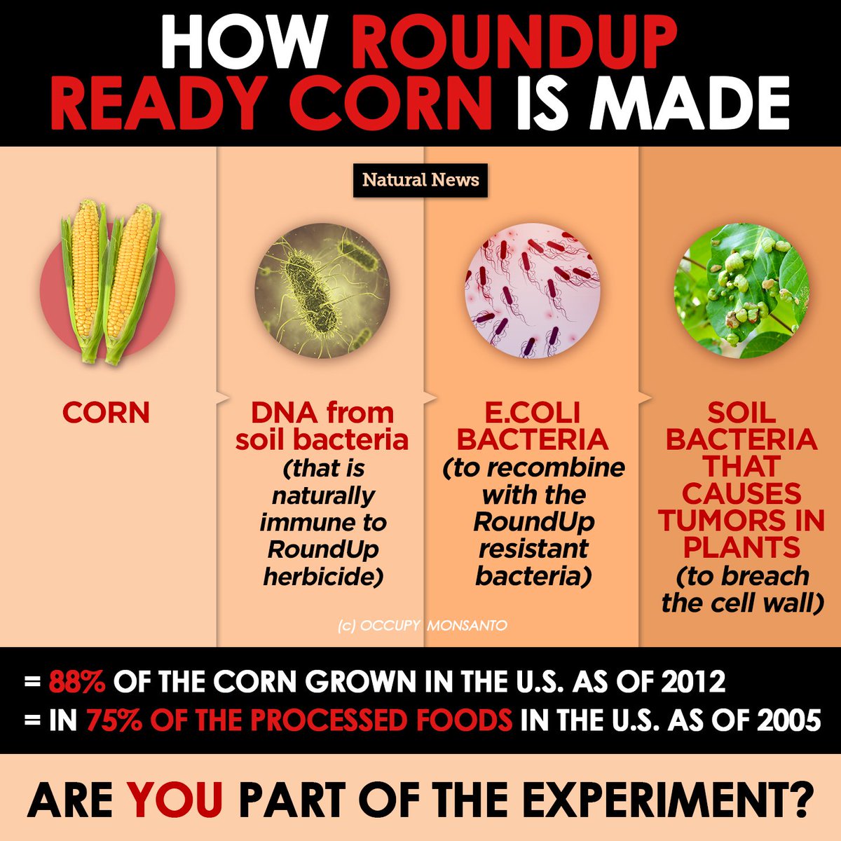 HealthRanger's tweet photo. Are you part of the experiment? #corn #GMO https://t.co/6Rf2xJC2JW