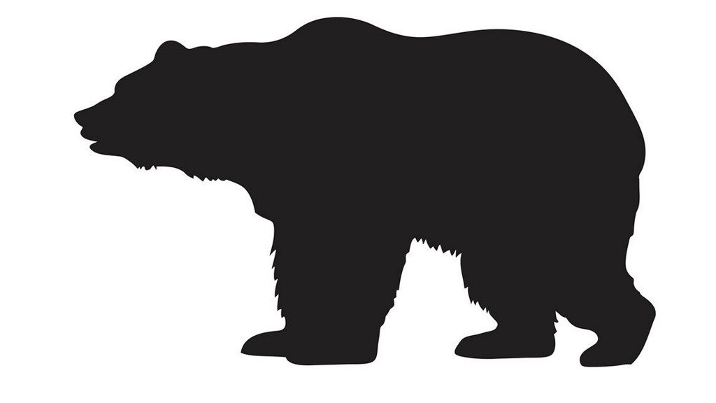 ksdknews's tweet photo. Ballwin police warn of bear sighting https://t.co/rIEjcVMvnU https://t.co/9zxgqW2rYh