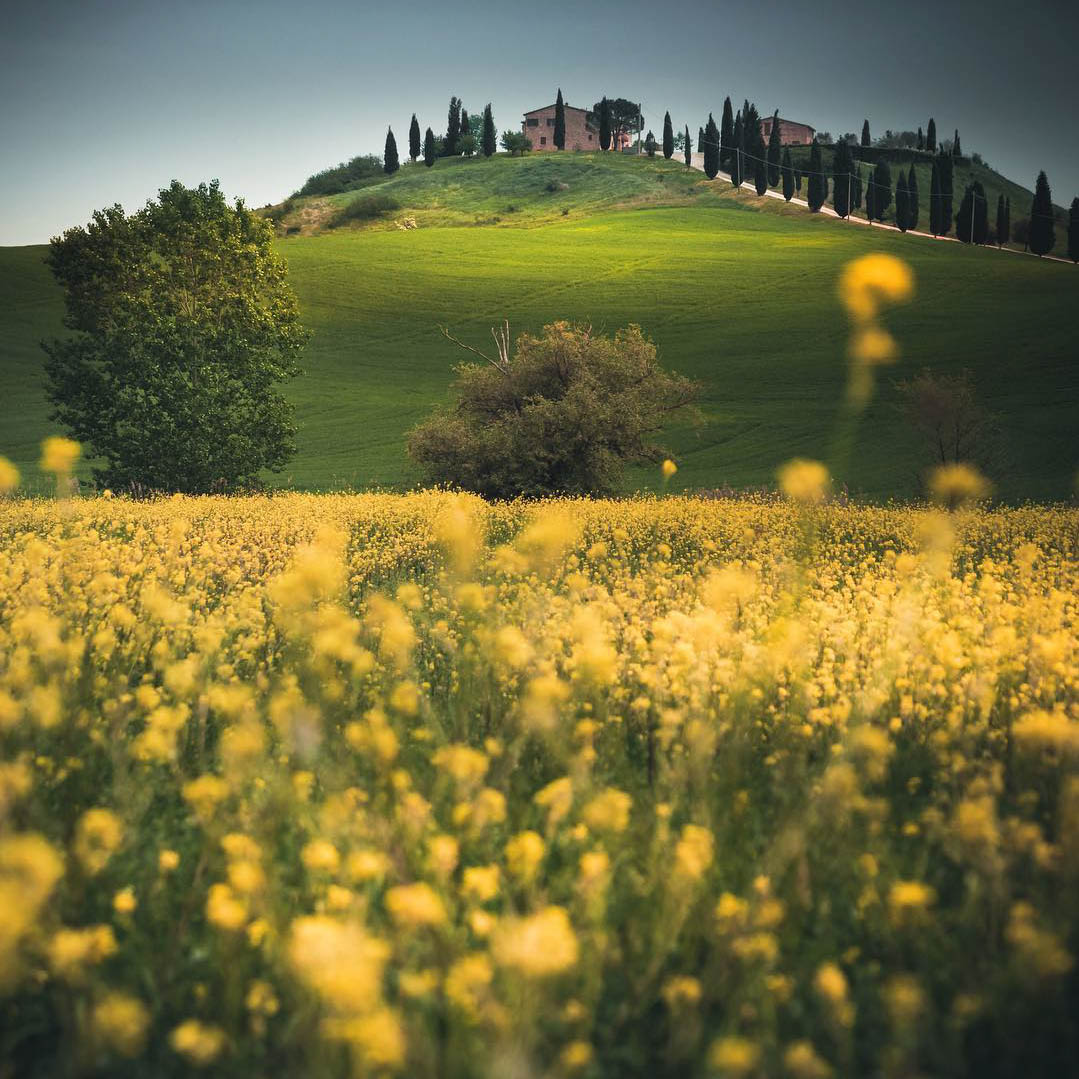 AndreiAndrei63's tweet photo. Tuscany. Italy. https://t.co/mghcmkq1JJ