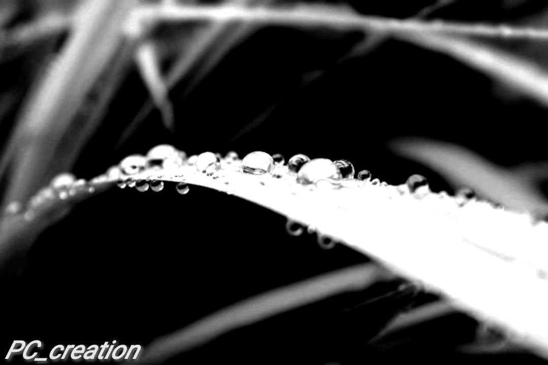 PrinceT09813582's tweet photo. #waterdrops
#honorshoot
#Cprinceofficial_photographyclick https://t.co/TCv1IzLSs5