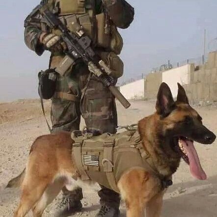 box1949's tweet image. 