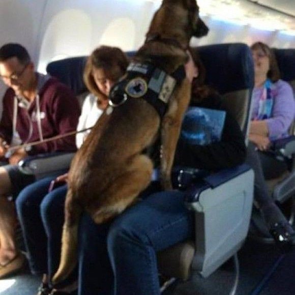 box1949's tweet image. 