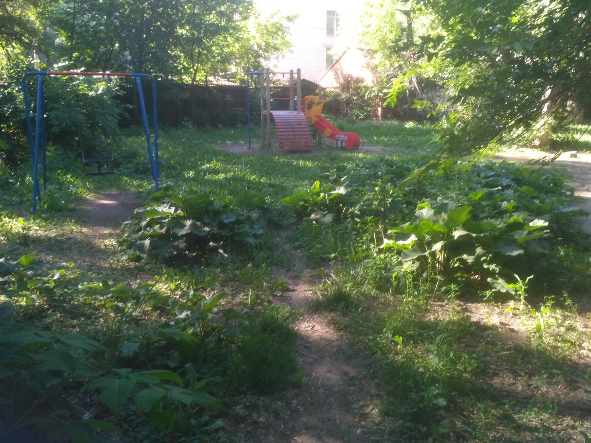 Stephan_Gunsche's tweet photo. @AdmSov 
Бесхозная территория внутри квартала, напротив Победы 91.
Мусор не убирается, покос травы и вырубка поросли не осуществляются. Санитарная обрезка деревьев не проводится, при этом на территории находится детская площадка.
За кем закреплена данная территория? https://t.co/1FnAspdYDA