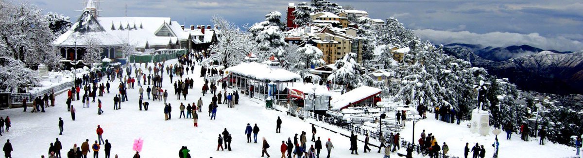geo_hospitality's tweet photo. Shimla Packages at Amazing rates. Book you Hotel, Resort, &amp; Cottages with an amazing view of Cedar Forest. #Shimla #Cedar_Forest #ShimlaPackages https://t.co/651KgZlh2x