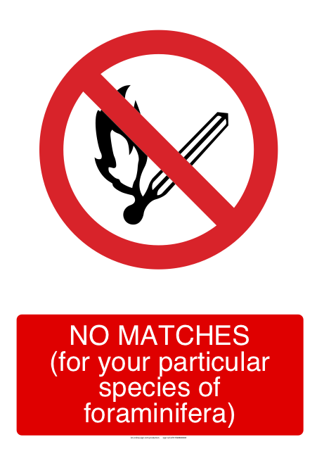 PAGES_ECN's tweet image. They are headliners of #palaeoceanography, but virtually unknown to the general public: Meet the tiny organisms called #foraminifera!

Robyn Granger shares how these microscopical shells cause her confusion and back pain, but also keep her entertained: theearlypages.blogspot.com/2018/06/trials…