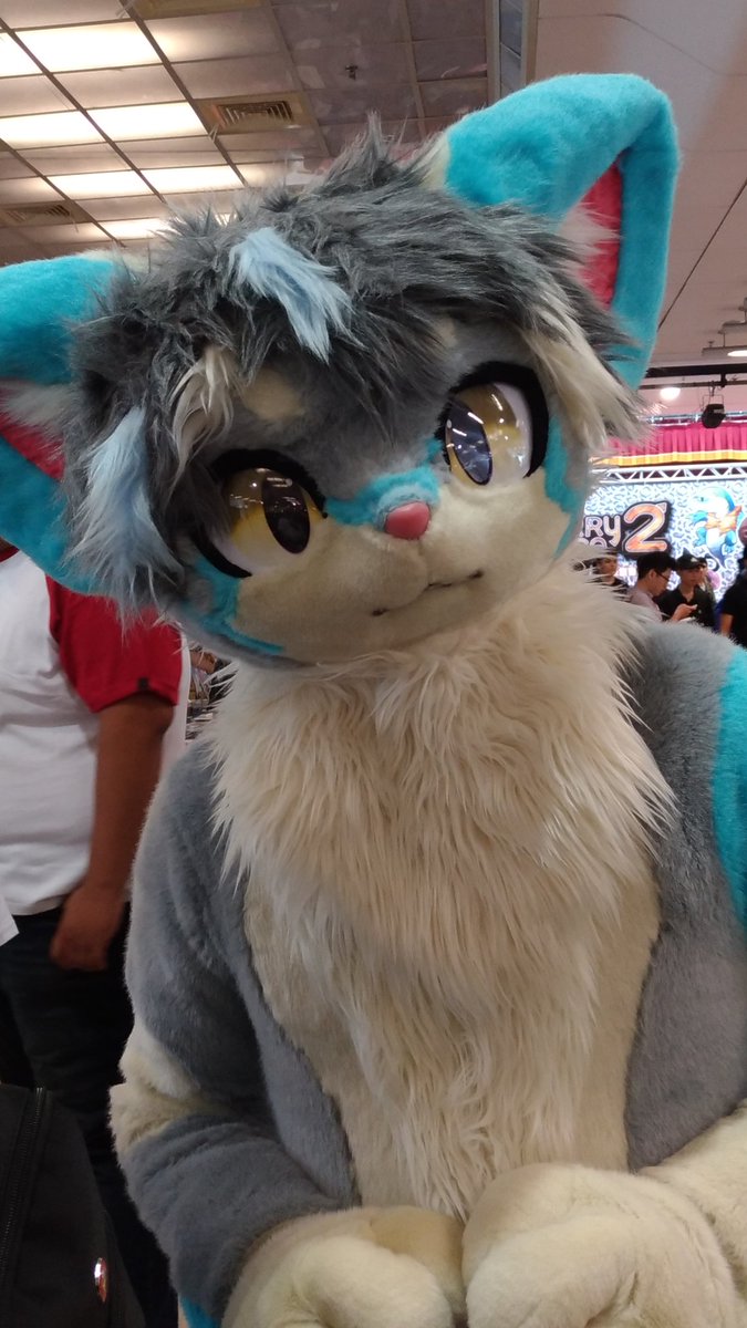 #Furrymosa2
#kemonoline