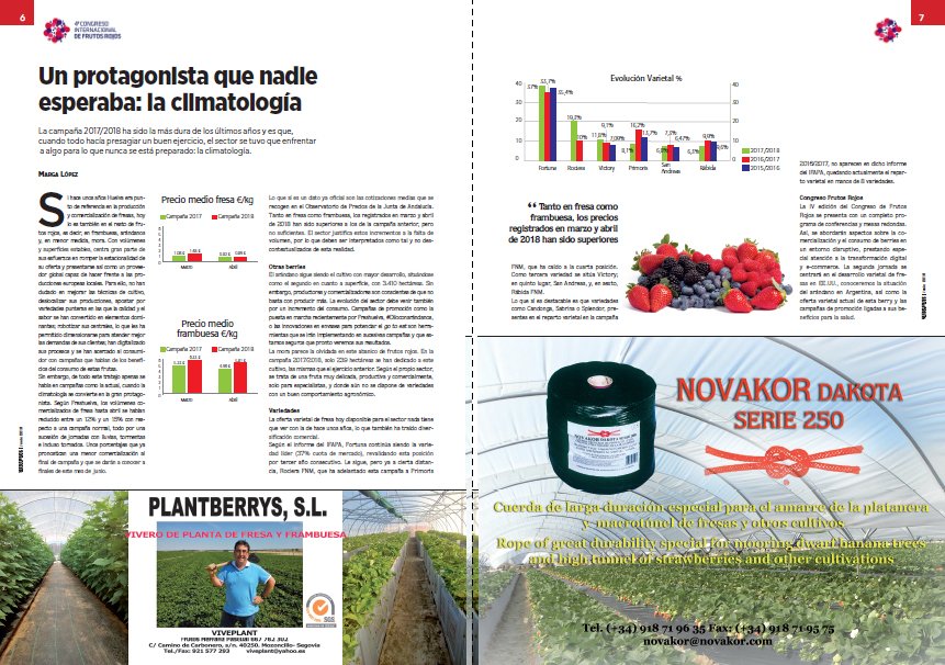 RevistaMercados's tweet photo. Con motivo de la celebración del #IVCongresoFrutosRojos de #Huelva esta semana, hacemos un análisis de la campaña de #berries https://t.co/0Vi3o3lGa9 #fresa #frambuesa #arándanos .@Freshuelvaes #ed137 https://t.co/jTxmvac9Nb