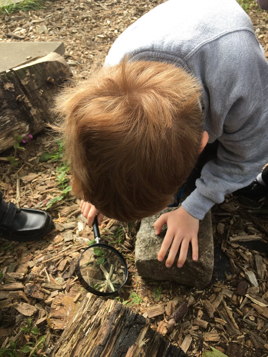 FoveranSchES's tweet photo. Finding life in our garden with our visitor from the RSPB. #outdoorlearning #learningcontexts https://t.co/BbTFIzkRLR