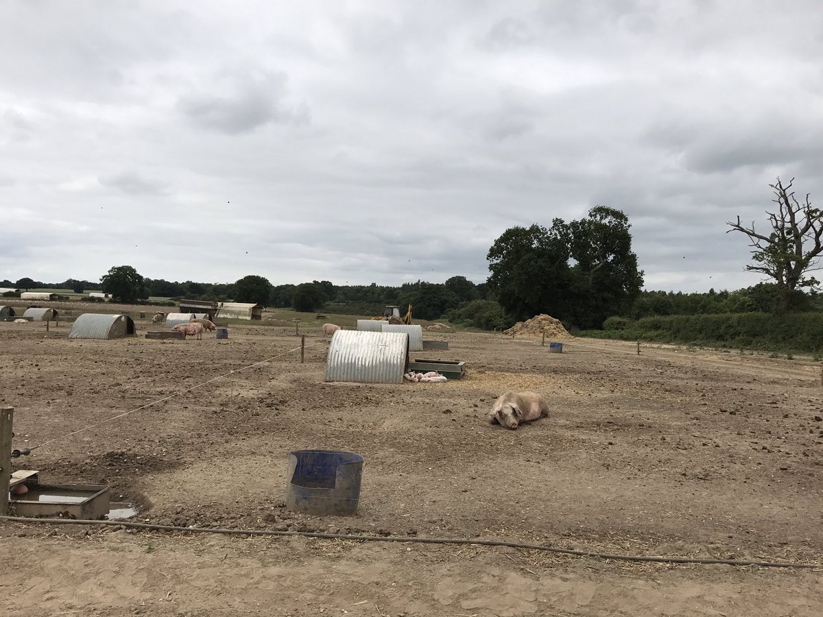 LewisKelsey2's tweet photo. We've arrived @BlythburghPork looking forward to seeing some great free range pigs @AubreyAllen #aubreyinspires https://t.co/ttDSUx1jrn