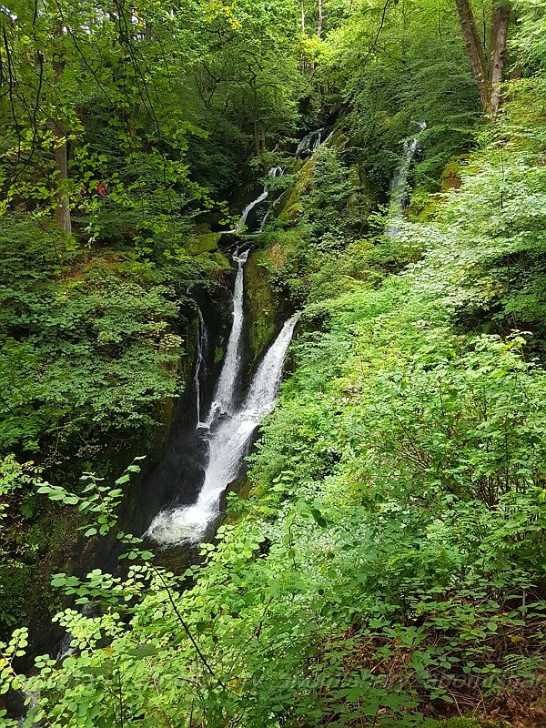 abomishary18's tweet photo. Stock Ghyll Force waterfall
https://t.co/q7idOPaXxv
الشلال بمنطقة #امبلسايد
#Ambleside 
#Waterfall
#Windermere 
#Ullswater https://t.co/NOSBaPZmQK