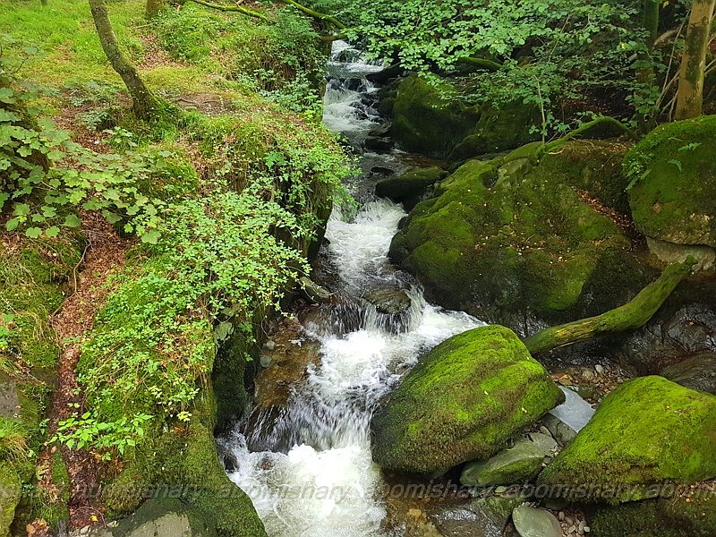 abomishary18's tweet photo. Stock Ghyll Force waterfall
https://t.co/q7idOPaXxv
الشلال بمنطقة #امبلسايد
#Ambleside 
#Waterfall
#Windermere 
#Ullswater https://t.co/NOSBaPZmQK
