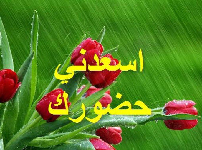 dd_7382's tweet photo. @alzahrani0971  https://t.co/wUqzuLv7Vm