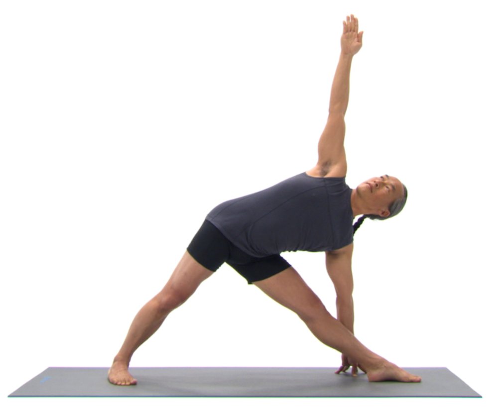 YogaStudioStore's tweet photo. #BuyYogaMatWithStrap from Yoga Studio and make it easy to hold and carry with. No matter what size mat you are #buying, we have #straps for all. Buy now! https://t.co/N75KkcrR2O https://t.co/1VhBD8BZAK