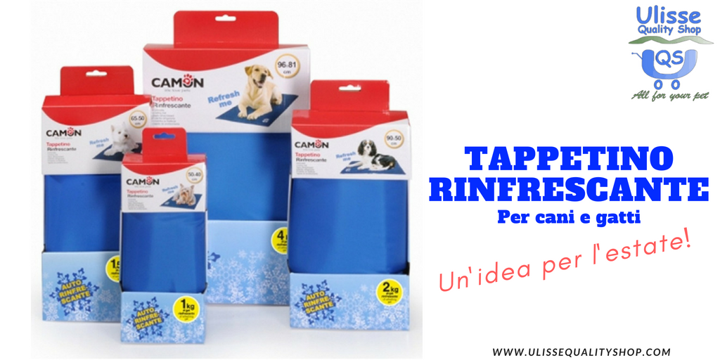 UlisseQualitySh's tweet photo. Tappetino #Rinfrescante @CamonSpa . Un'idea per combattere il #caldo. Scopri di più.
https://t.co/e43CG7Ncp4
#ulissequalityshop #temperaturacorporea #cani #gatti #pet #petshop #tappetinorinfrescante #animalidomestici https://t.co/d3HIx0y3fO