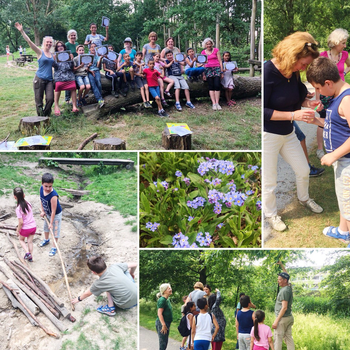 GroeneMaatjes's tweet image. Groene Maatjes hebben hun laatste avontuur samen beleeft dit schooljaar. Met NatuurWijzer @Tenk71, directeur @keelinoconnor en ouders oude eiken gespot, kikkers gevangen &amp;amp;vrij gelaten en nog veel meer! Nog vele groene avonturen gewenst! Lieve kinderen en maatjes bedankt!💚🌸🌞🐸