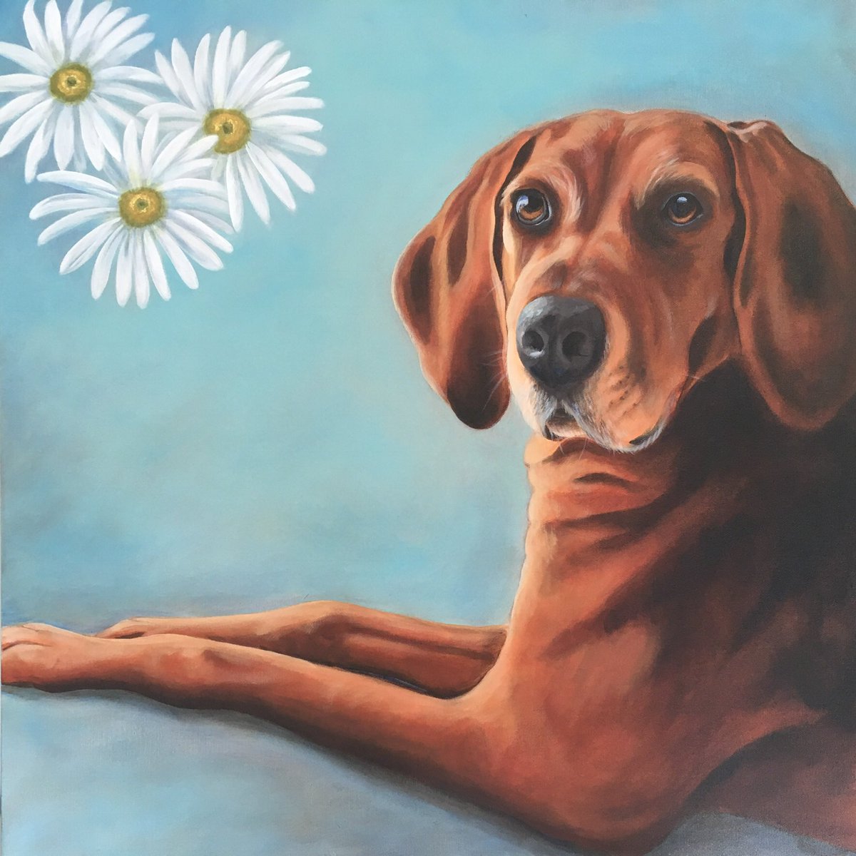 stylinghomes's tweet photo. I enjoyed painting Miss Daisy. 24” x 24” acrylic. #RedboneCoonhound #petportraits #paintingmemories https://t.co/HJEolkqWhx