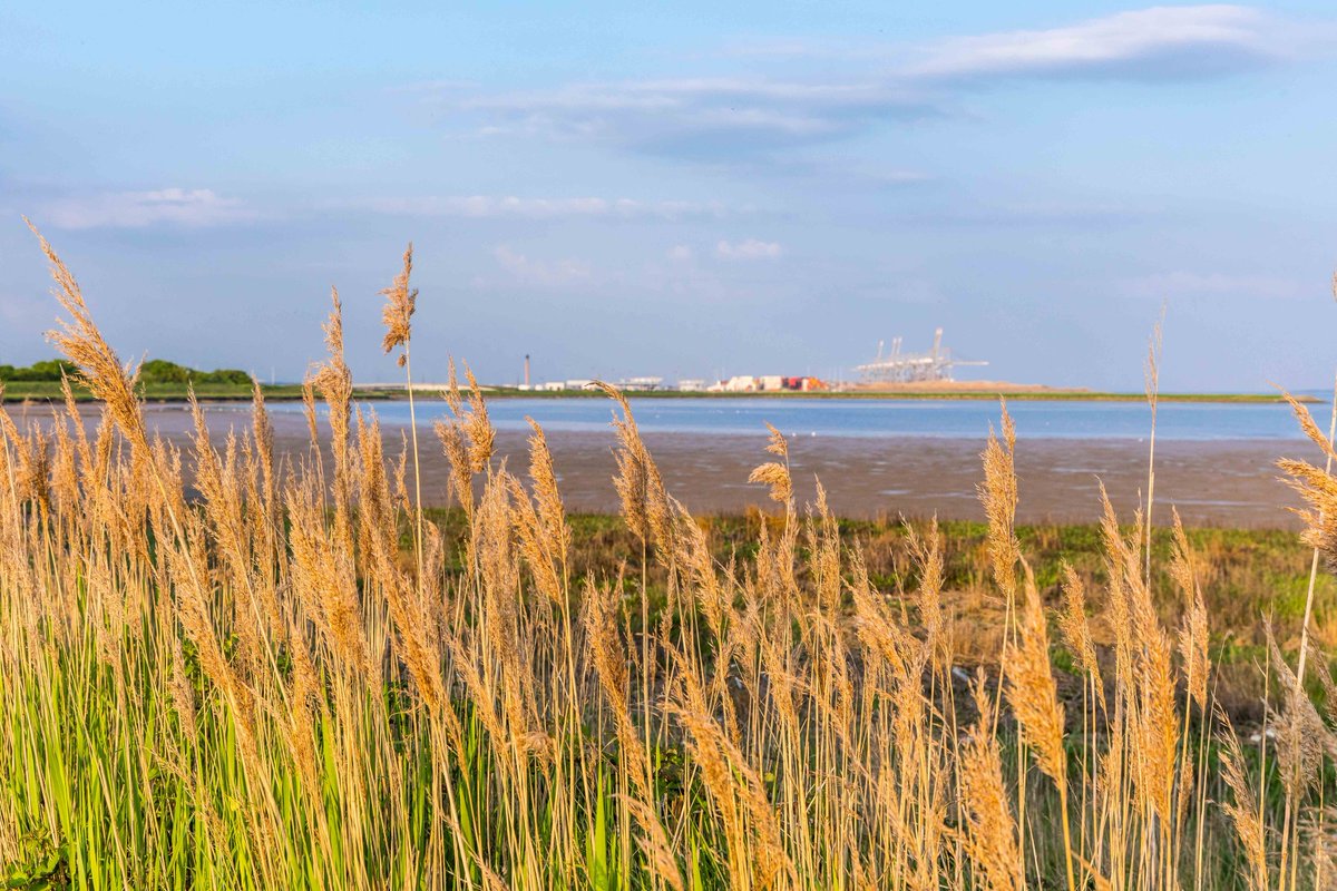 Kalmar #FastCharge shuttle carrier powers up at <a href="/DP_World/">DP World</a> @LondonGatewayUK. The project involved converting an existing Kalmar hybrid shuttle carrier into a fully electric FastCharge shuttle carrier. The modification work was completed in just a few weeks. kalmarglobal.com/news--insights…