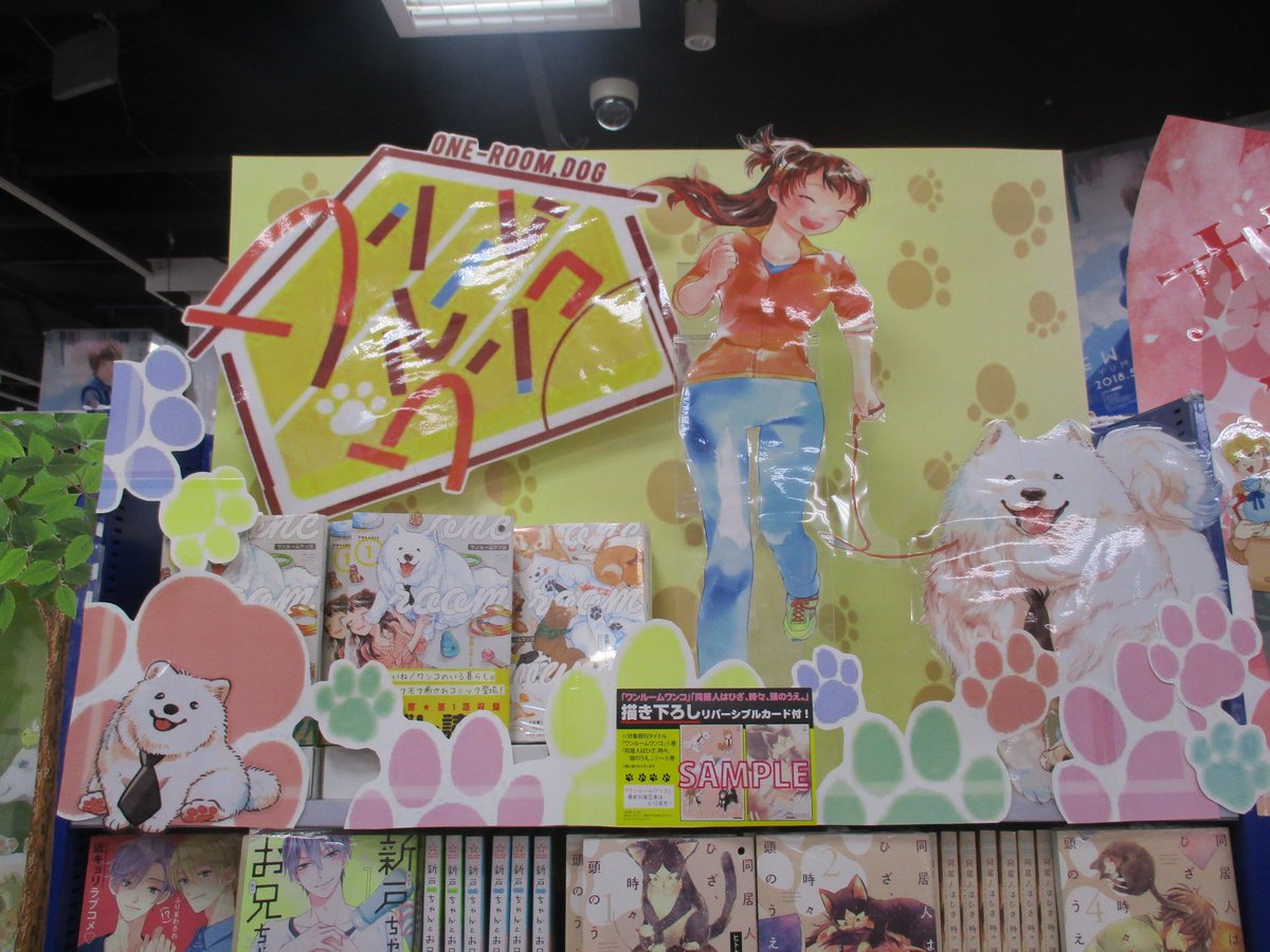 アニメイト渋谷 ラブライブ スーパースター オンリーショップ21開催 書籍オススメ情報 ワンルームワンコ 2巻 好評発売中シブウウウ 特典にはイラストカードとメッセージペーパーが付いてくるシブ また ワンルームワンコ 1巻2巻 同居人は アニメイト渋谷 ラブライブ スーパースター オンリーショップ21開催 書籍オススメ情報 ワンルームワンコ 2巻 好評発売中シブウウウ 特典にはイラストカードとメッセージペーパーが付いてくるシブ また ワンルームワンコ 1巻2巻 同居人は