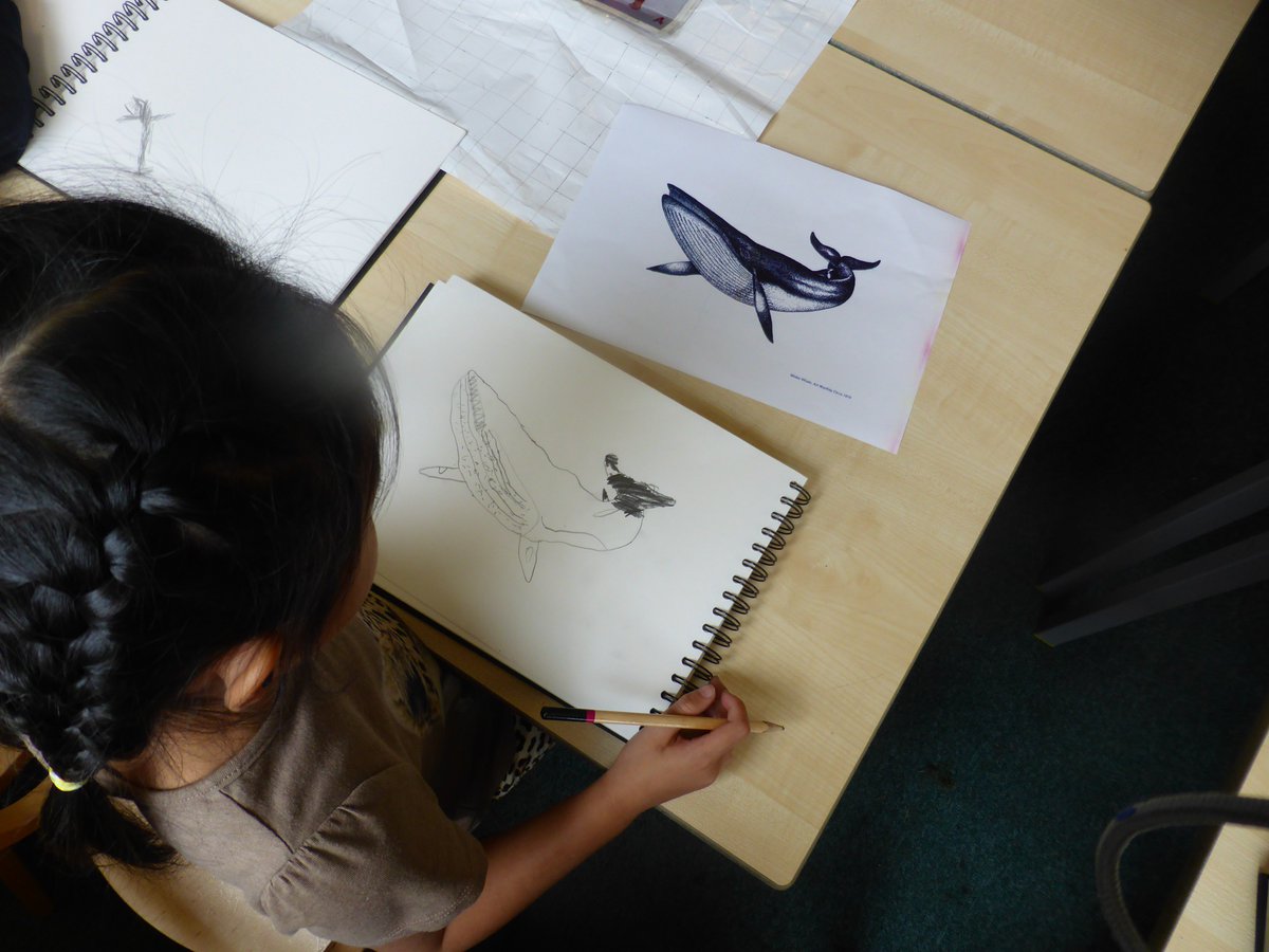 Hazel@Foxfield tweet media