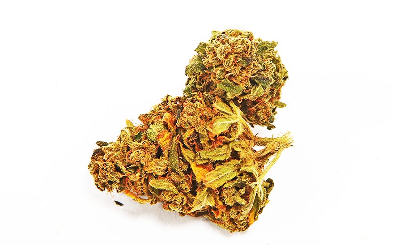 magicalweed_it's tweet image. Pinapple Kush - Infiorescenza di Cannabis Light Legale - magicalweed.com/cannabis-legal… #CannabisCommunity #CBD #CannabisOil #CannabisCures #CBD2018
