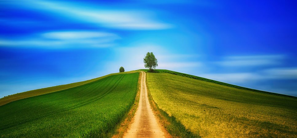 #Agronomos, competentes como técnicos superiores de inspección #medioambiental goo.gl/aqntNF

<a href="/CGCOIA/">CGCOI Agrónomos</a> <a href="/coiaab/">𝗖.𝗢. 𝗜𝗻𝗴. 𝗔𝗴𝗿ó𝗻𝗼𝗺𝗼𝘀 𝗔𝗹𝗯𝗮𝗰𝗲𝘁𝗲</a> <a href="/gobjccm/">Gobierno de Castilla-La Mancha</a>