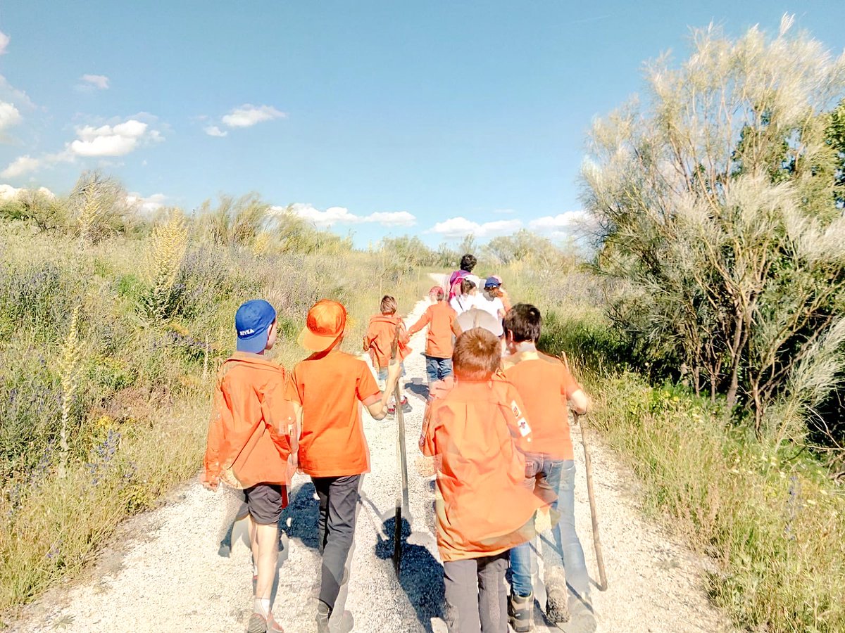 Castores ha tenido su última acampada de rama de esta ronda el pasado fin de semana. ¡Dentro de nada el campamento!