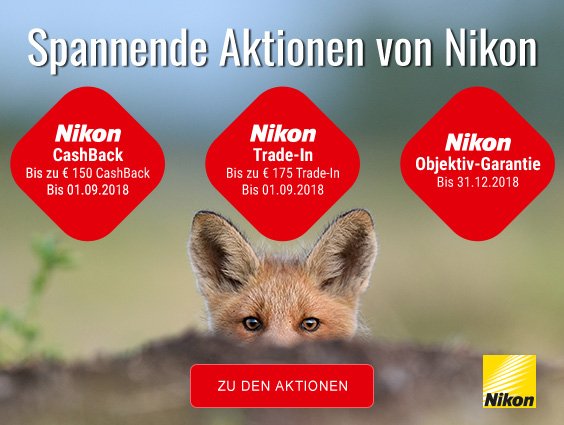 #Nikon bietet aktuell drei interessante Aktionen an:
CashBack für 25 Nikkor-Objektive, 5 Jahre-Objektiv-Garantie und ein Trade-In-Angebot für einige Gehäuse. Zu allen Aktionen: bit.ly/2MC4s5x