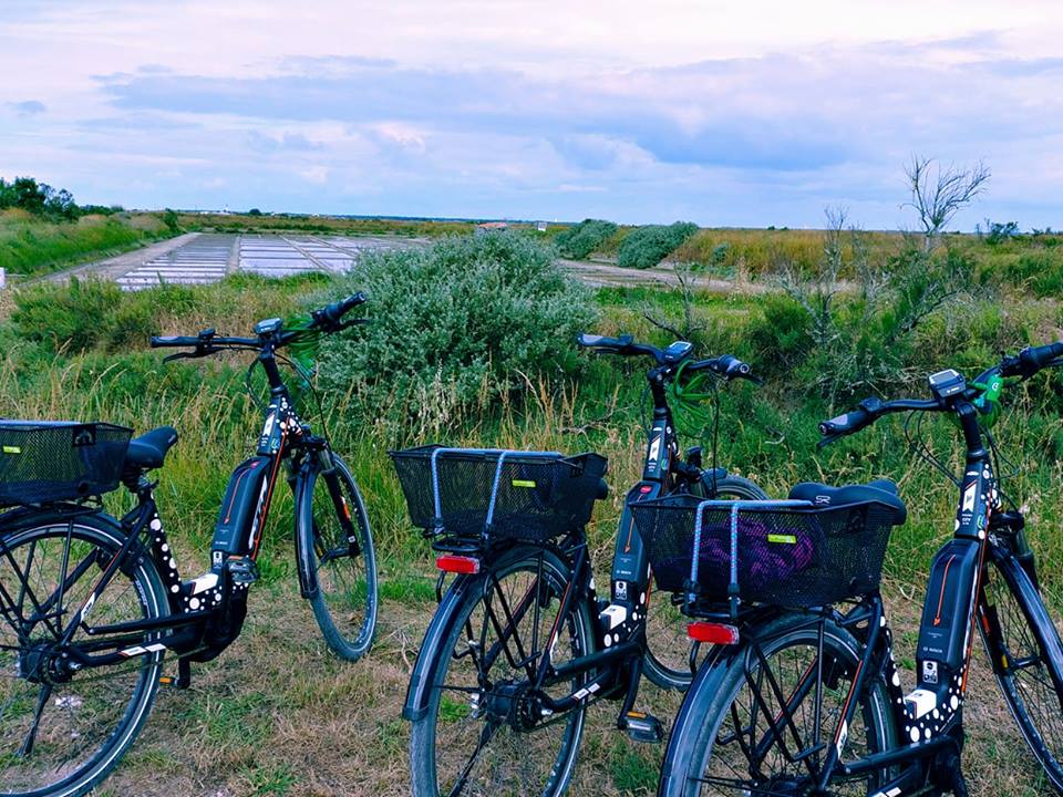 Nouvelle-Aquitaine Tourisme tweet media