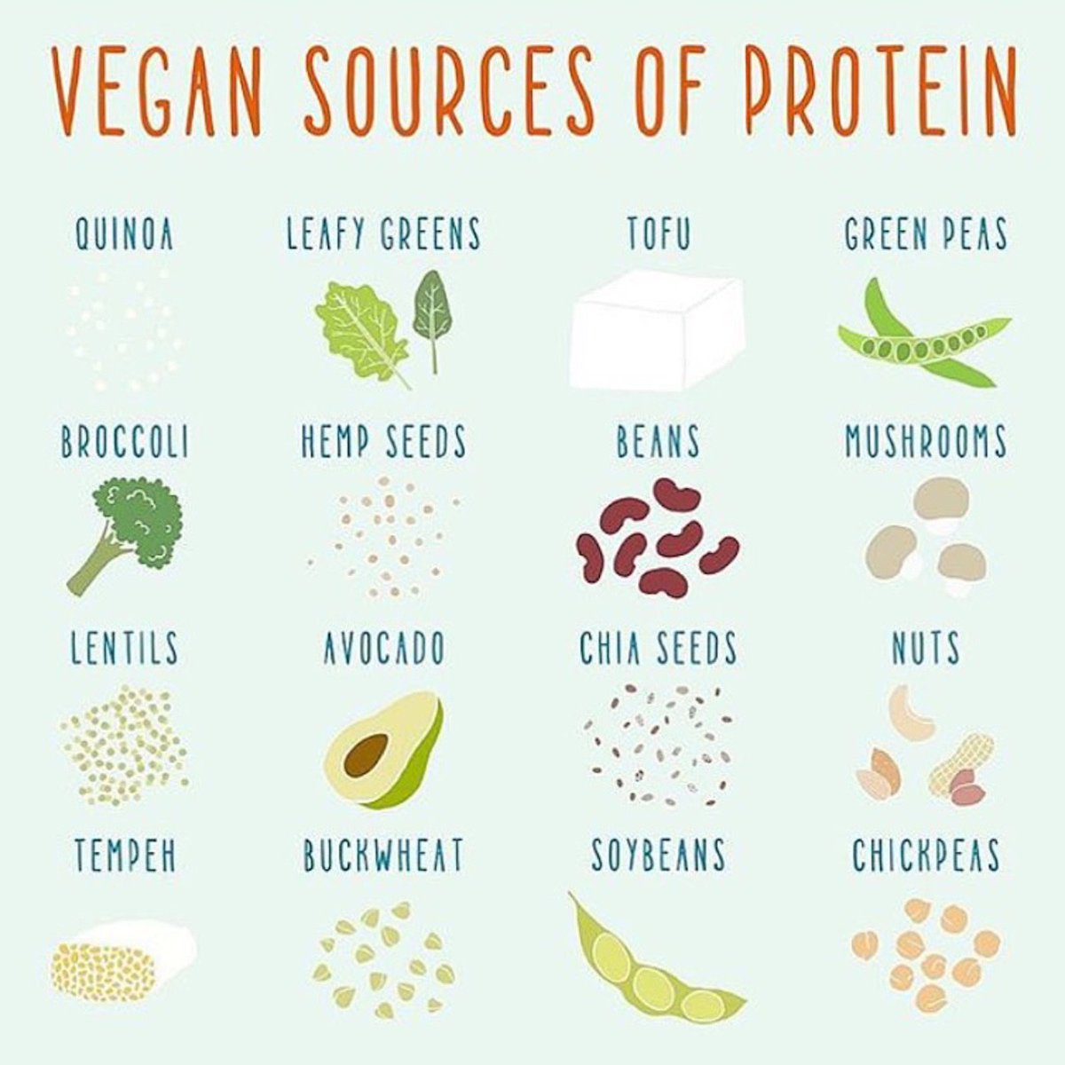 vegannutrition1's tweet photo. Plant based sources of 
Calcium 
Magnesium
#Protein &amp;
Iron
There's plant based and natural sources for all the vitamins/ minerals we need.
We really don't need animal foods which come with increased disease risk for nutrients when plants come with decreased disease risk.
#GoVegan https://t.co/W45dEQTvOl