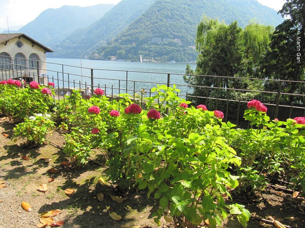 GaniMartin's tweet image. Lake Como as observed from Villa del Grumello #Italy #gradens