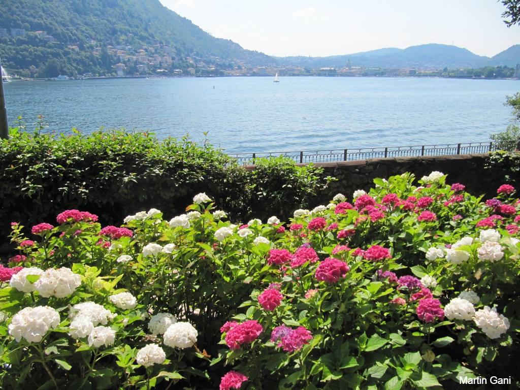 GaniMartin's tweet image. Lake Como as observed from Villa del Grumello #Italy #gradens