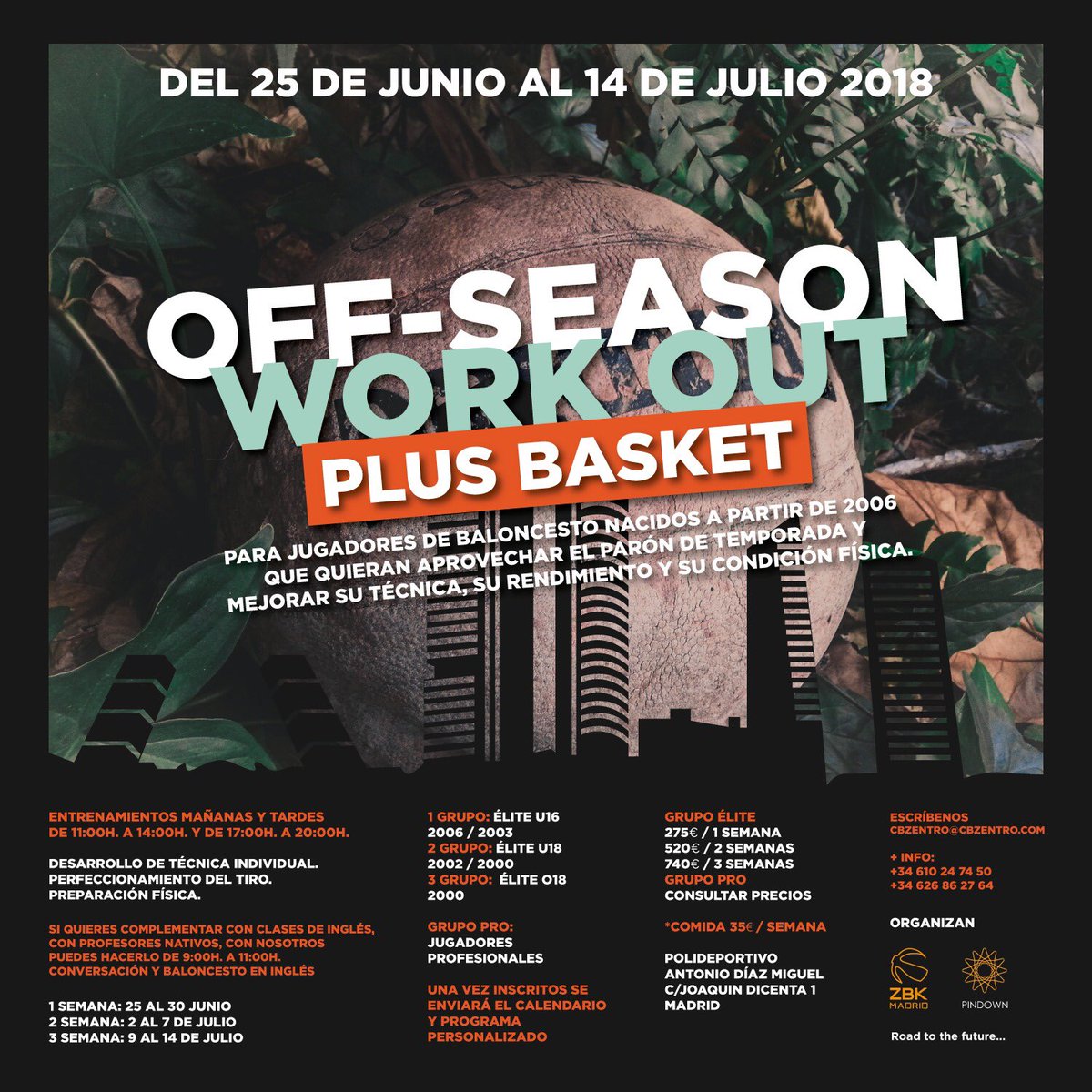 PlusBasketElite's tweet photo. Ya están aquí nuestras nuevas jornadas de trabajo‼️

➡️ Mejora de habilidades 
➡️ Trabajo técnico avanzado aplicado a la táctica 
➡️ Perfeccionamiento del tiro
➡️ Preparación física específica

Con la colaboración de @CBZentro y @pindownsports 

DM 📥 para más info. https://t.co/LBtPKx9Wff