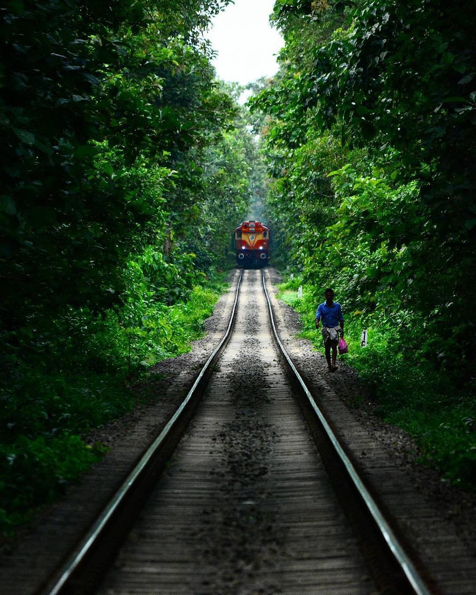 indiamagicaltri's tweet photo. pictures.of.indiaClickBy @dheeraj.07: "Life has no Limitations,
Except the ones you make✌️🏻
#indiamagicaltrip #indiatouroperator #incridibleindia #vijesenindia #picoftheday #Evenings #Railways #train #indianrailways #India #Kerala #palakkad #outdoors #nature #photography https://t.co/Tt62c06O8C