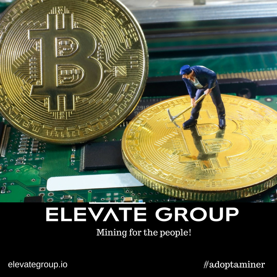 elevategroupio's tweet photo. For your opportunity to join our growing community click ➡️ https://t.co/awavC5MZd7 or join our telegram group https://t.co/RZWXdkLL98 #passiveincome #blockchain #notanico #nohostingfee #cryptocurrency #blockchain #adoptaminer #elevategroup https://t.co/76u0lCxlmW